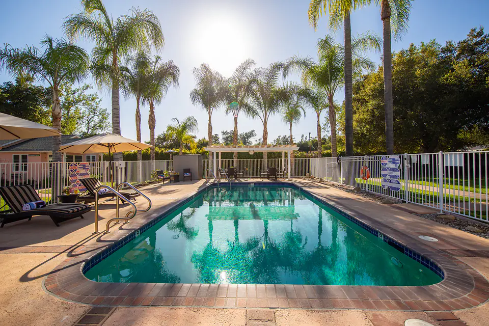 Heated outdoor pool surrounded by palm trees at The Gables of Ojai